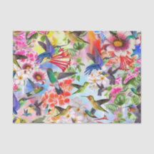 Hummingfåglar och blommor