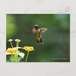 Hummning av att säga hej! vykort