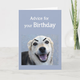 Humor Cute Hund New Trend Eyebrows Roligt Kort