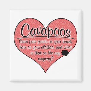Humor för Cavapoo tass avtryckhund Magnet
