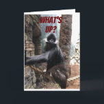 HUMOR FÖR MIN "FAVORITE BROTHER" KORT<br><div class="desc">PÅ DIN BIRTHDAY ***TILL MIN FAVORITBROTHER*** EN BIT AV EN TEASE FRÅN DENNA GORILLA SOM VILL VETA ***VAD ÄR UPP TILL DIN ÅLDER?***</div>