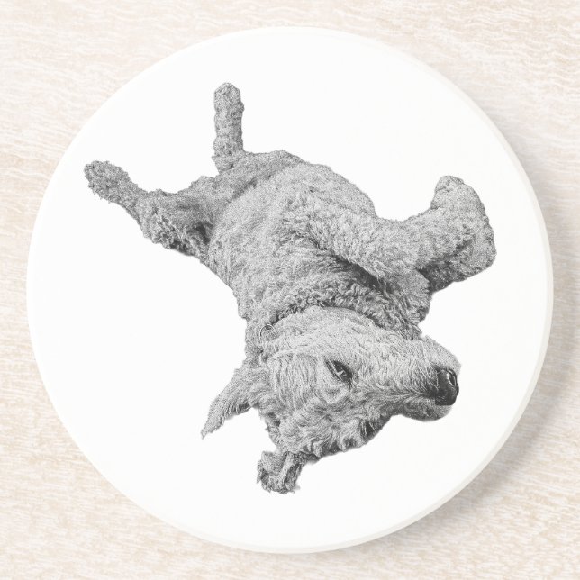 Humor i vila underlägg (Framsidan)