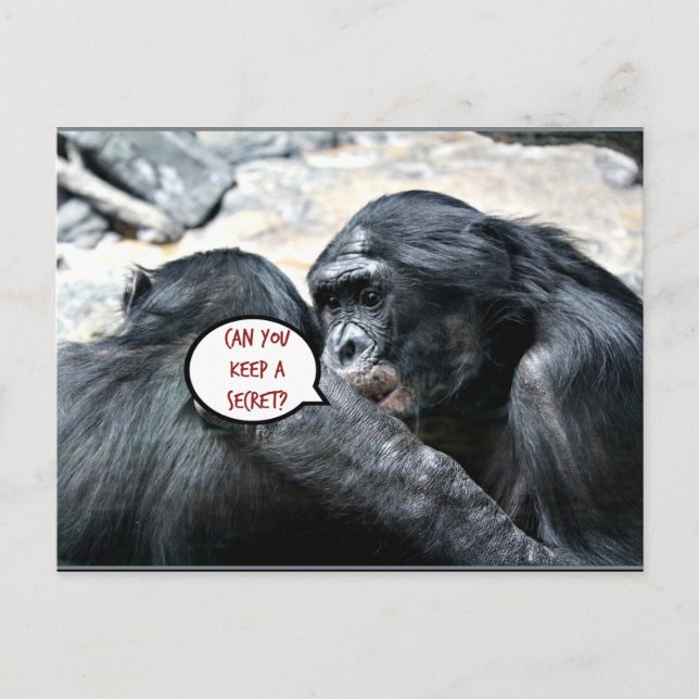 Humor - kan du behålla en hemlighet? vykort (Framsida)