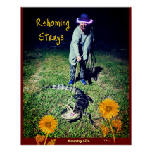 Humor - Land Life - Rehoming Strays