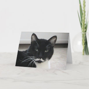Humor Tuxedo-dagskort (mall) Kort
