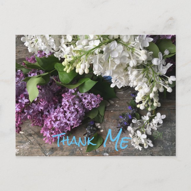 Humoriserat vykort: Lilac Tacke "ME"-anteckningar Vykort (Framsida)