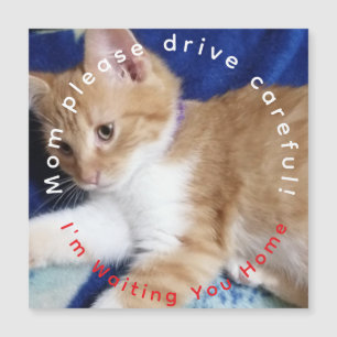 humoristisk bild på orange katt, text, Mamma Bil M