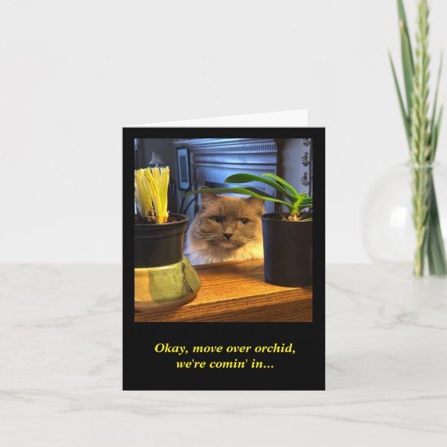 Humoristisk födelsedag kort (Framsida)