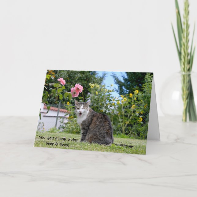 humoristisk födelsedagtabby katt kort (Framsida)