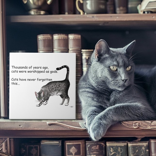 Humoristisk Grå Whimsical Katt Egyptisk Mau Kakelplatta (Skapare uppladdad)