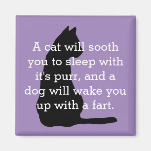 Humoristisk katt- och hundjämförelsemagnet magnet