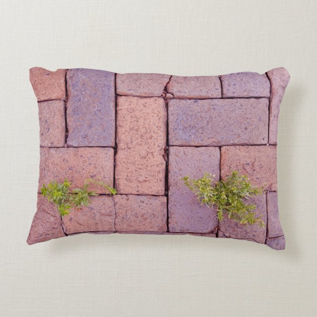 Humoristisk Ogräs Paving Stones Walkway Mönster Prydnadskudde (Baksidan)