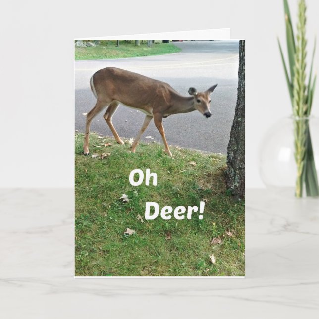 Humoristisk senkommen födelsedag önskemål kort (Framsida)