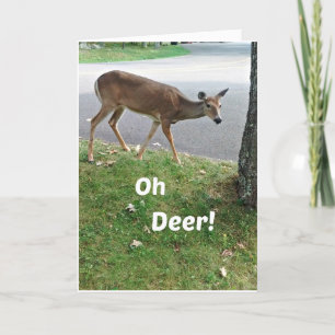 Humoristisk senkommen födelsedag önskemål kort