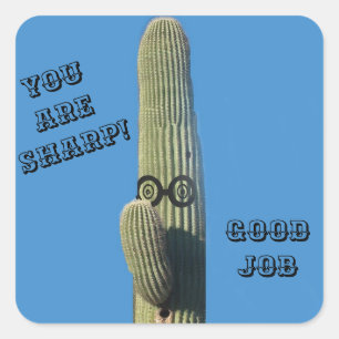 Humoristiskt Arizona för rolig bra jobbkaktus Fyrkantigt Klistermärke