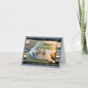 Humoristiskt, roligt och fånig kort