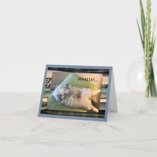 Humoristiskt, roligt och fånig kort (Framsida)