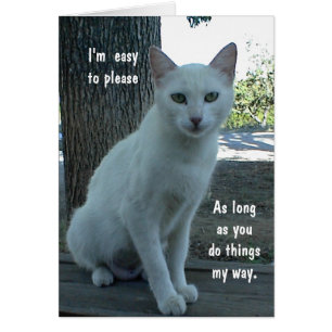 Humorkort, vit katt, blank insida hälsningskort