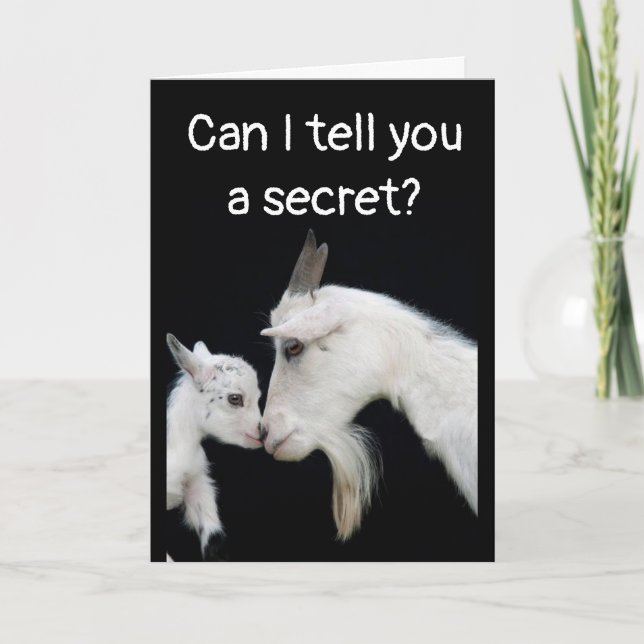 HUMOROUS "BELATED" BIRTHDAY NO BUTTS ABOUT IT! CAR KORT (Framsida)