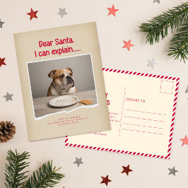 Humorous Funny Dog Pet Family Christmas Postcard Vykort