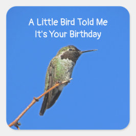 Humous Birthday Önskemål Hummingbird Kuvert Seal Fyrkantigt Klistermärke