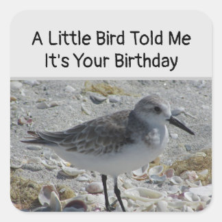 Humous Birthday Önskemål Little Bird Kuvert Seal Fyrkantigt Klistermärke