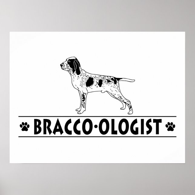 Humous Bracco Italiano Poster (Framsidan)