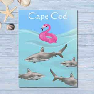 Humous Cape Cod Underbar White Shark Beach Vykort