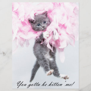 Humous Cute Funny Cat