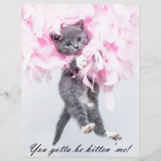 Humous Cute Funny Cat