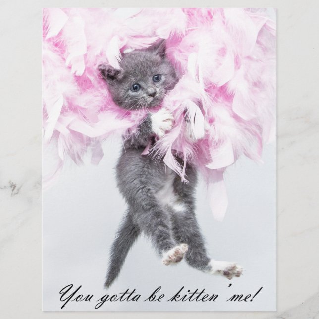 Humous Cute Funny Cat (Framsida)