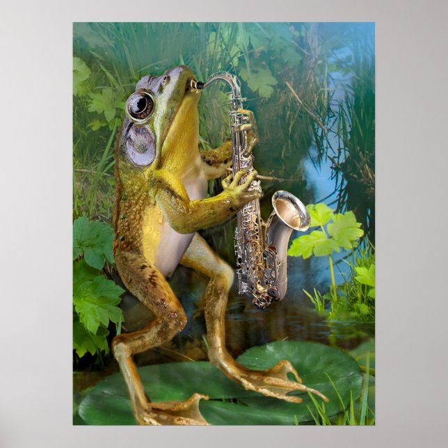 Humous Frog Plies Saxophone Poster (Framsidan)