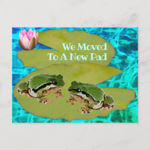 Humous Frogs Lilies Pad Vi Flyttat tillkännagivand Vykort