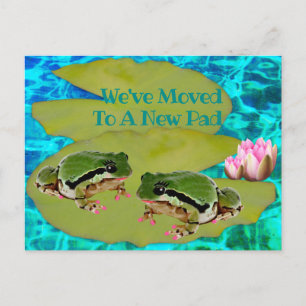 Humous Frogs Lilies Pad Vi Flyttat tillkännagivand Vykort