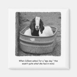 Humous Goat Spa Day Magnet