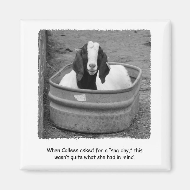 Humous Goat Spa Day Magnet (Framsidan)