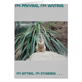 Humous Meerkat - Circle One Hälsningskort