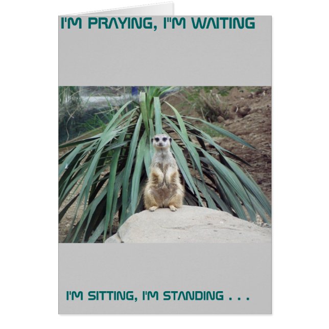 Humous Meerkat - Circle One Hälsningskort (Framsidan)