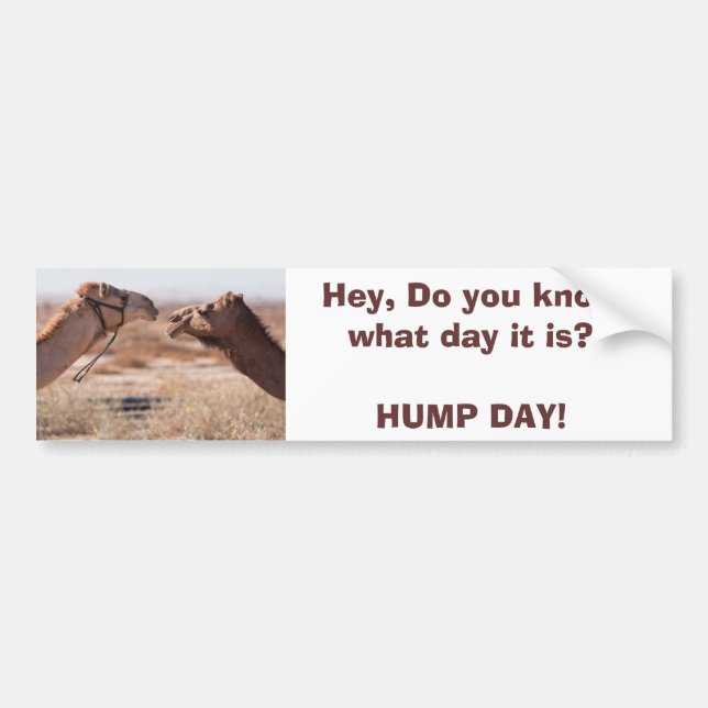 Hump Day Bildekal (Framsidan)