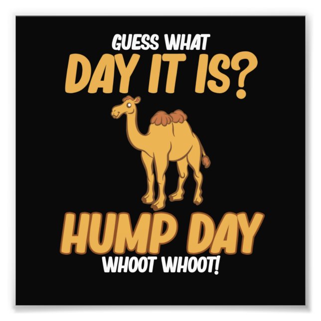 Hump Day Camel Animal Lover Camels Pet Owner Graph Fototryck (Framsidan)