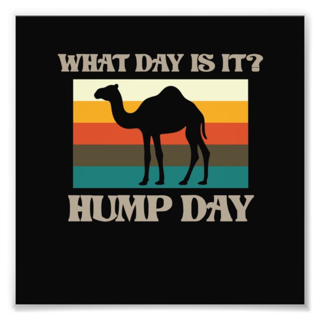 Hump Day Camel Animal Lover Camels Pet Owner Graph Fototryck (Framsidan)