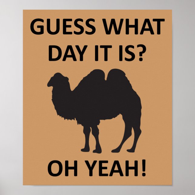 Hump Day Camel Funny Onsdag Poster Sign (Framsidan)