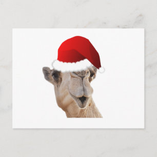 Hump Day Camel Jultomten Hat Helg Vykort