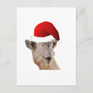 Hump Day Camel Jultomten Hat Helg Vykort