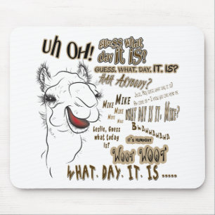 Hump Day Camel Musmatta