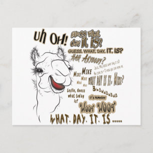 Hump Day Camel Vykort