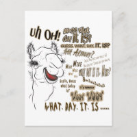 Hump Day Camel