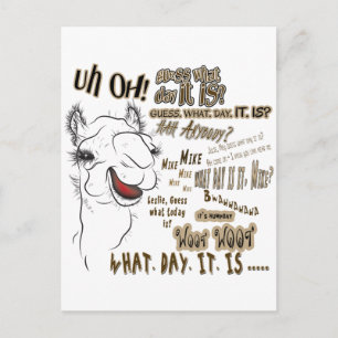 Hump Day Camel Vykort
