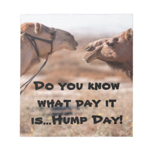 Hump Day Camels Anteckningsblock