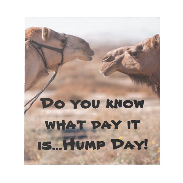 Hump Day Camels Anteckningsblock (Framsida)